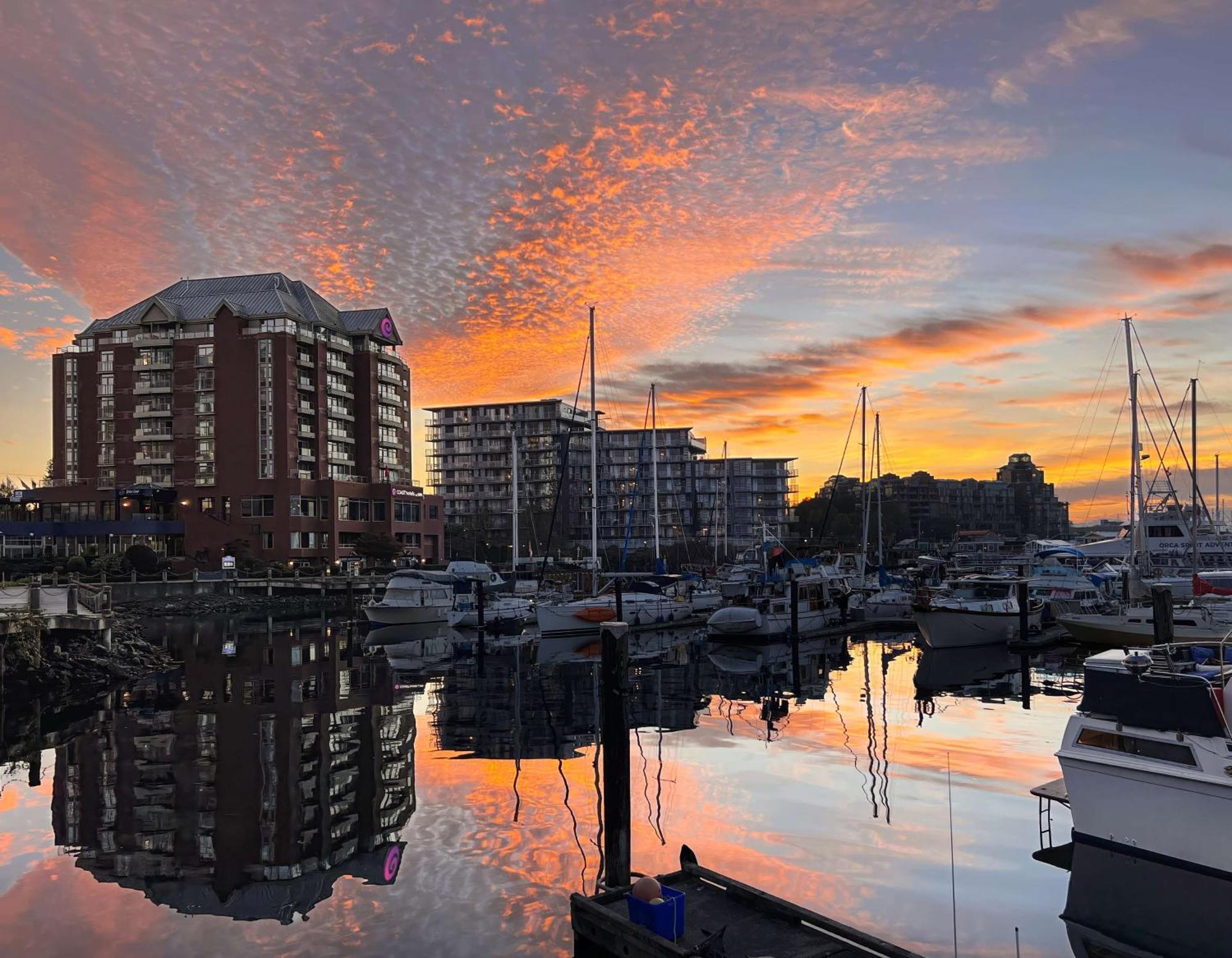 Coast Victoria Hotel & Marina By Apa Kültér fotó